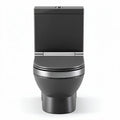 Single flush modern toilet in sleek black finish with compact dimensions 65 x 35 x 40cm